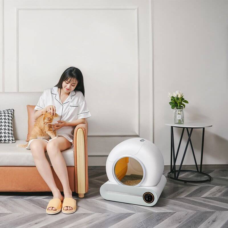 Bac litière chat connecté chat relaxé