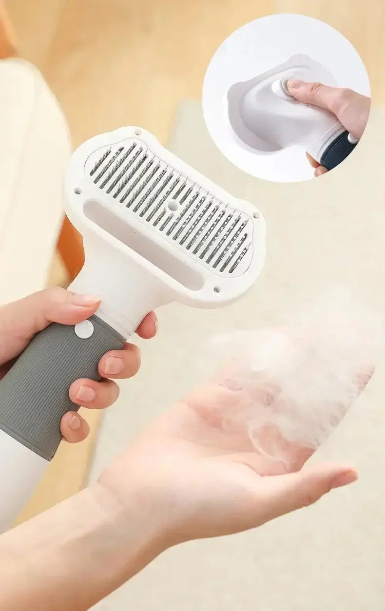 Brosse chat gris poils dans la main