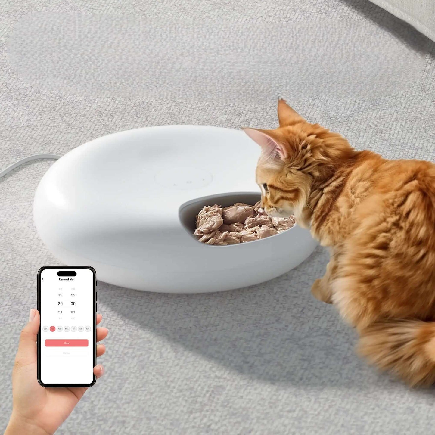 Distributeur automatique nourriture chat connecté