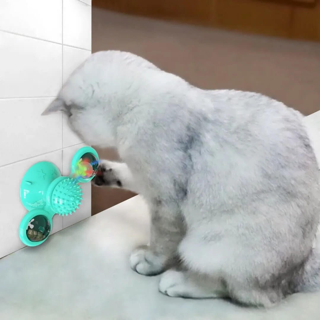 Jeux pour chat | Stimulation Active - Transportdodochat