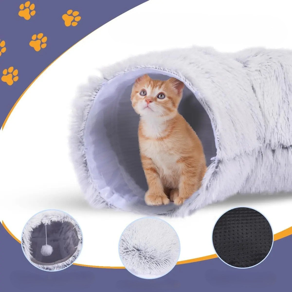 Maison pour les chats chaton attentif