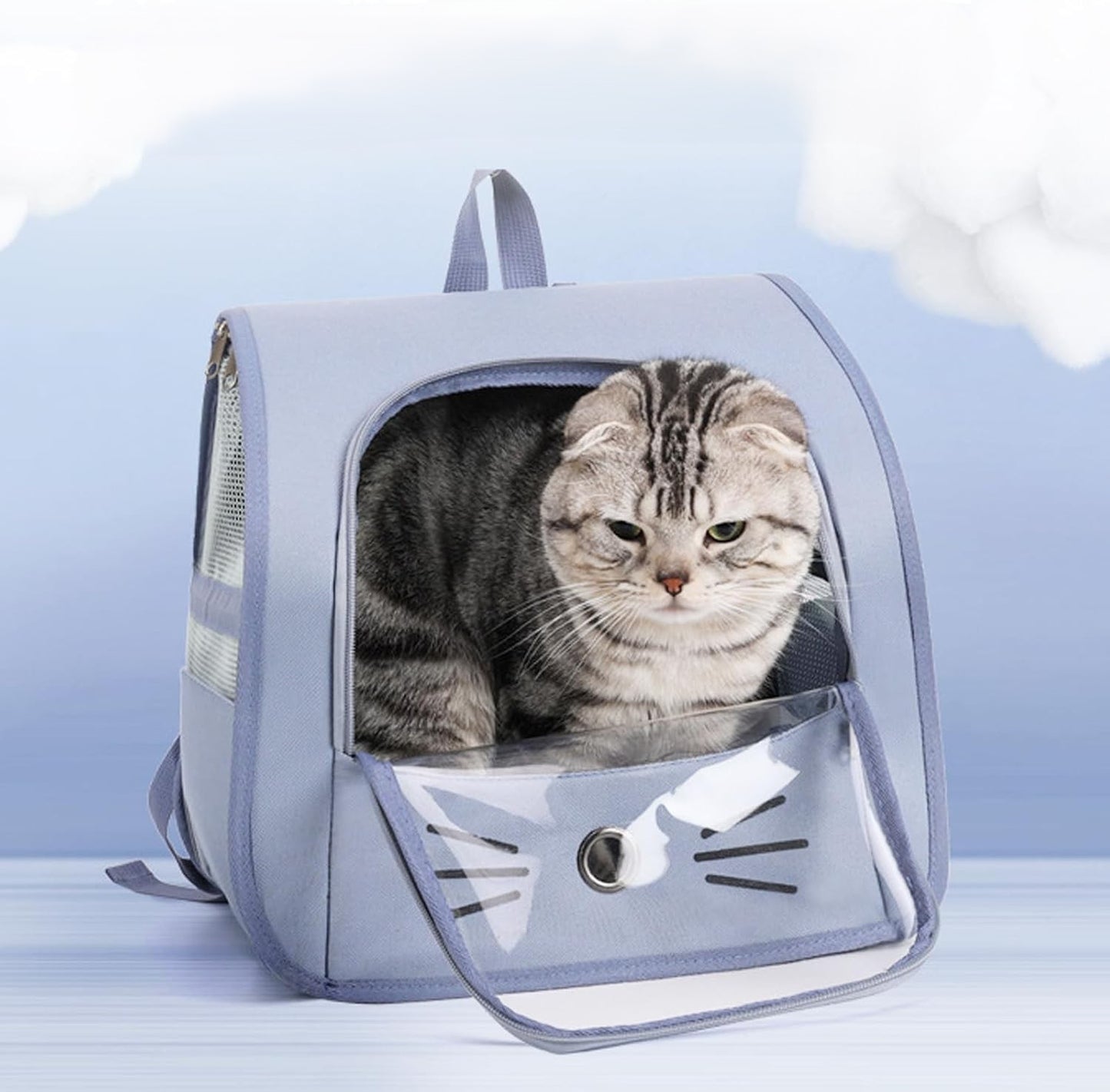 Sac a dos chat bleu chat détendu