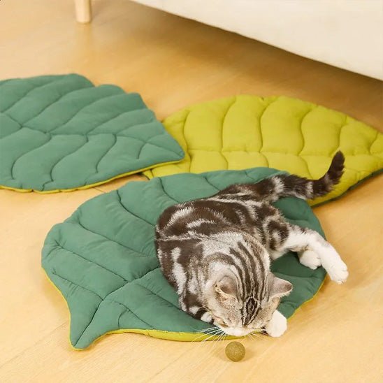 Tapis chat feuille vert chat s'amuse