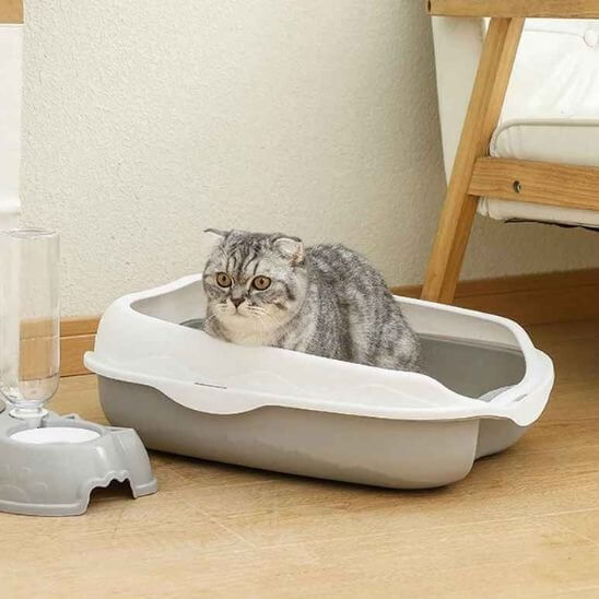 Bac à litière chat gris chat fait ses besoins