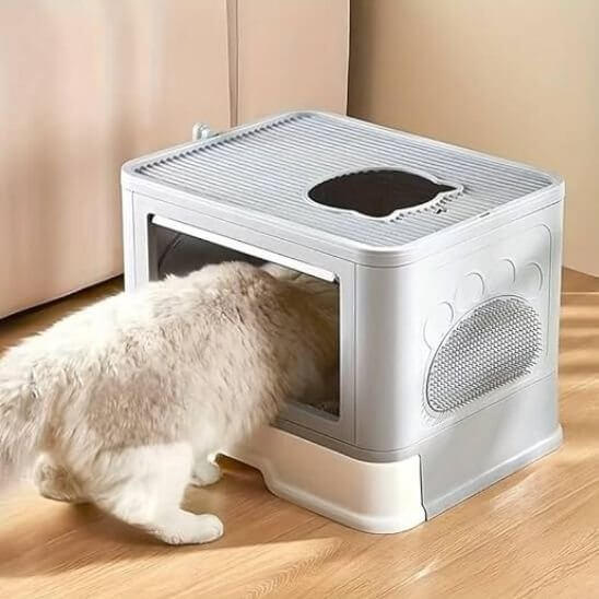 Bac litière chat gris blanc chat va aux besoins
