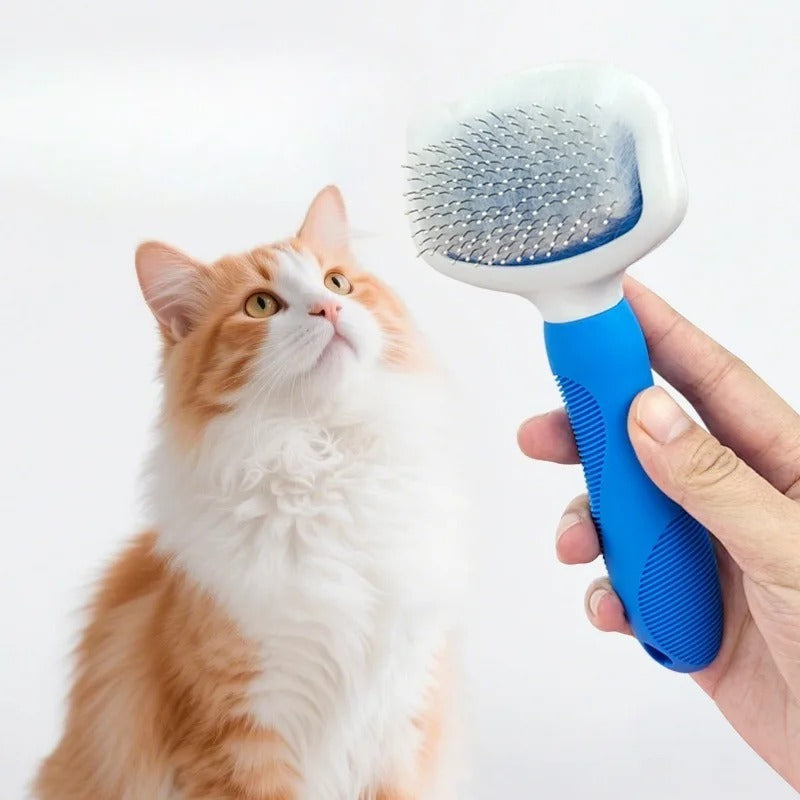 Brosse chat poils longs pleine de poils morts