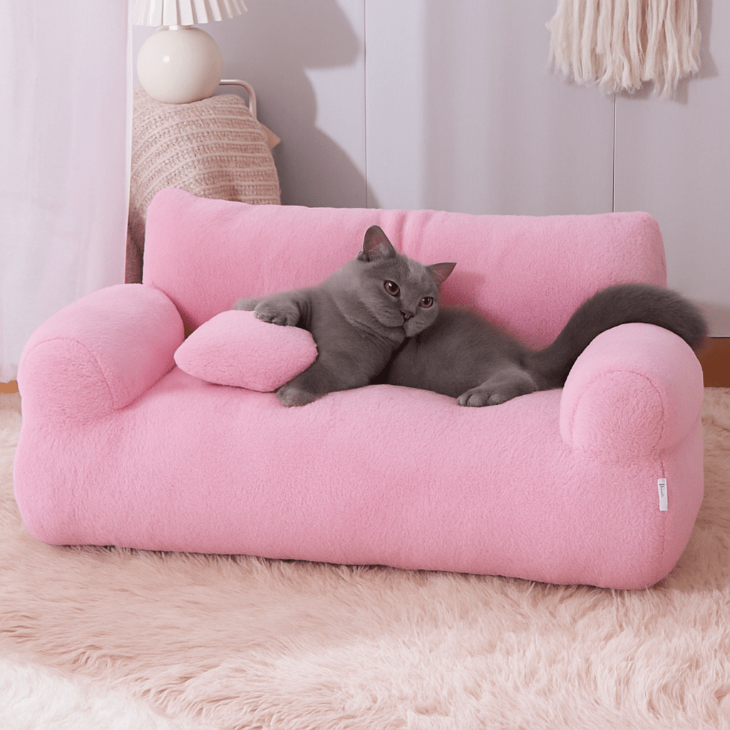 canapé chat rose chat en déco