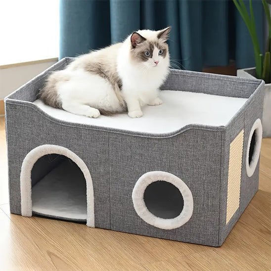 Chat niche - Cubicatâą - Transportdodochat
