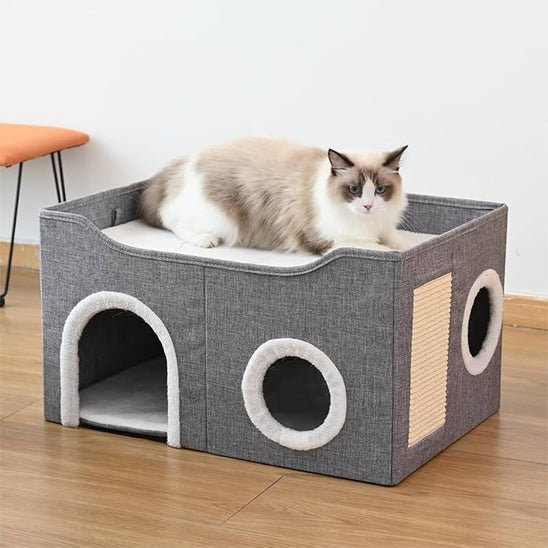 Chat niche - Cubicatâą - Transportdodochat