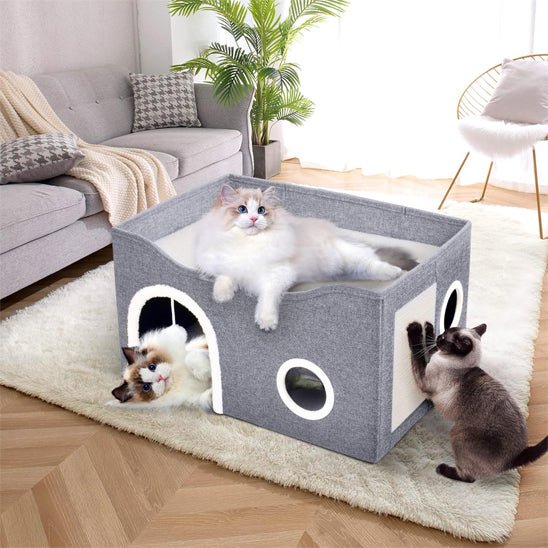 Chat niche - Cubicatâą - Transportdodochat