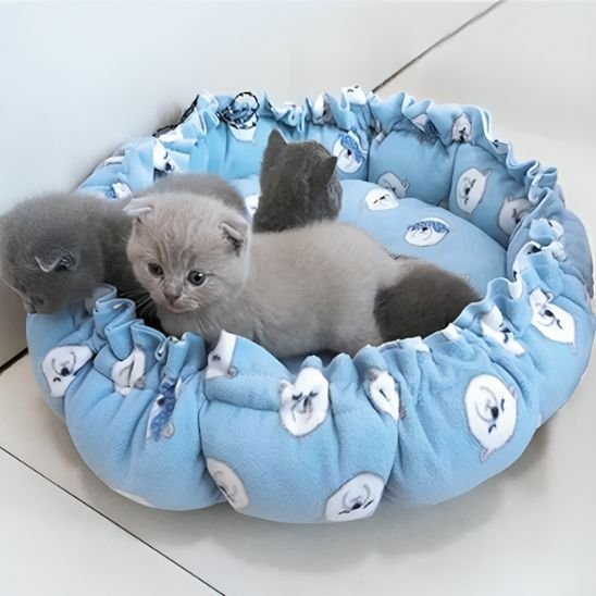 Coussin Chat | Douillet Premiumâą - Transportdodochat