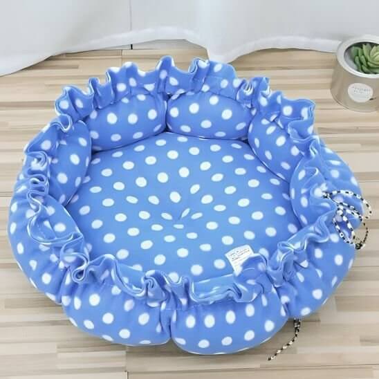 Coussin Chat bleu vif
