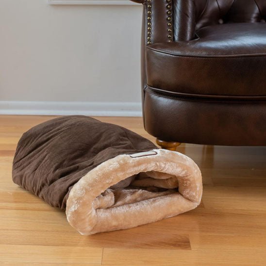 coussin chat brun en déco