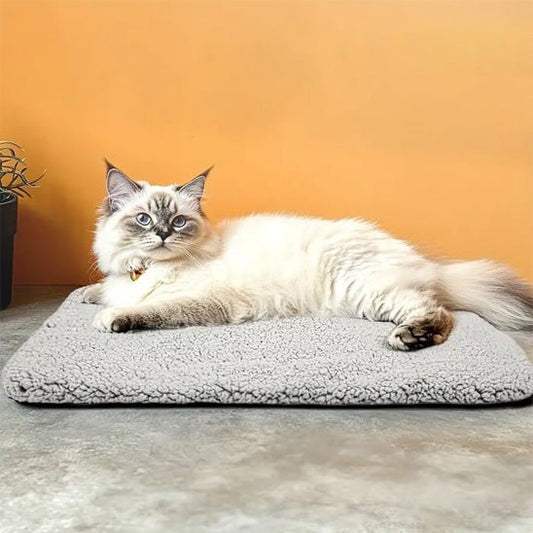 Coussin chat - Nuage Thermo™ - Transportdodochat