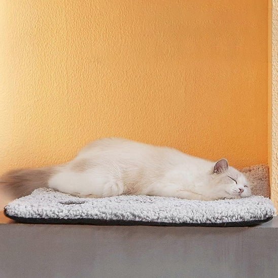 Coussin chat - Nuage Thermo™ - Transportdodochat