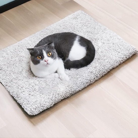 Coussin chat - Nuage Thermo™ - Transportdodochat