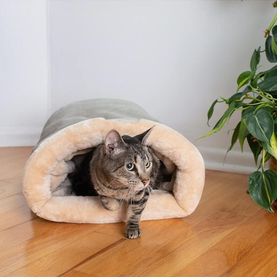 coussin chat gris chat relaxe en déco