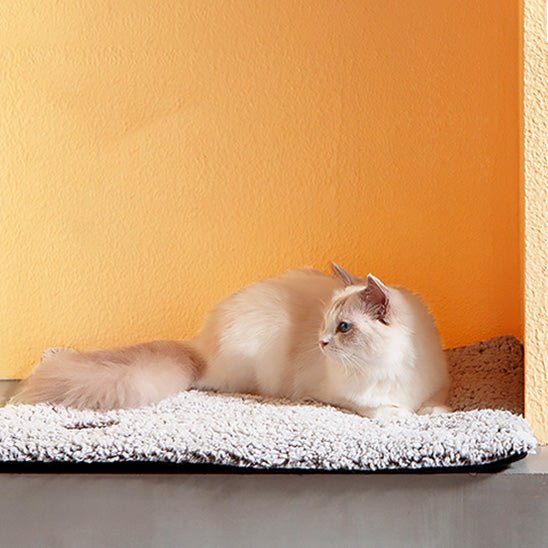 Coussin chat - Nuage Thermo™ - Transportdodochat