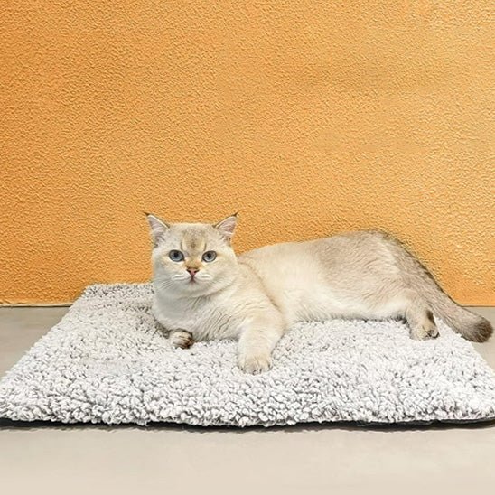 Coussin chat - Nuage Thermo™ - Transportdodochat