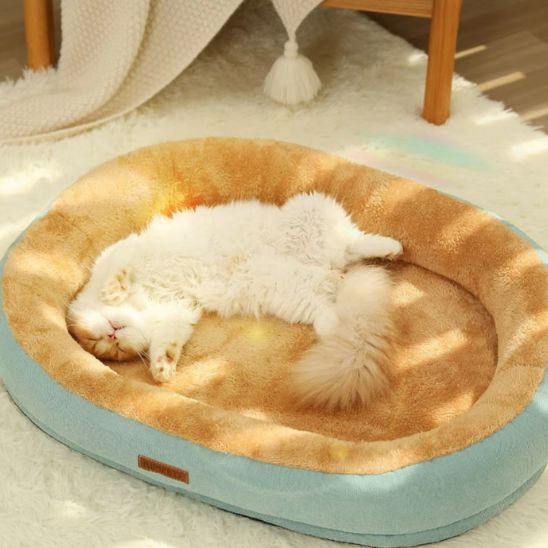 Coussin chat - Velours de Lune™ - Transportdodochat