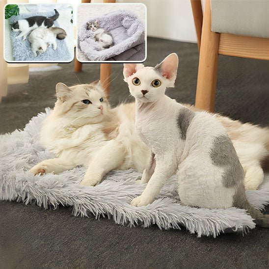 Coussin pour chat - Cocon Câlin™ - Transportdodochat