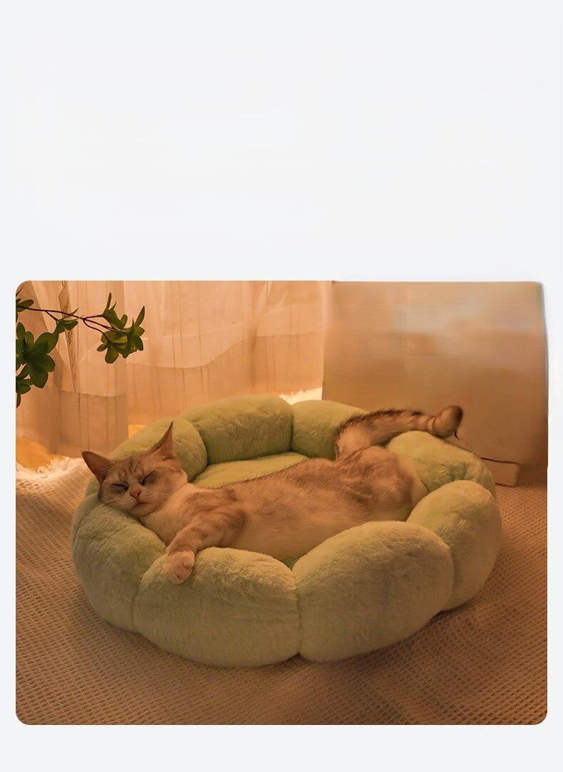 Coussin pour chat turquoise chat dodo