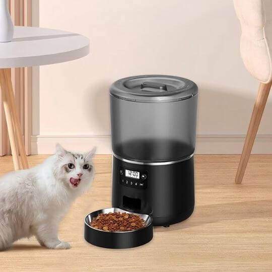 Distributeur automatique croquettes chat noir chat mange