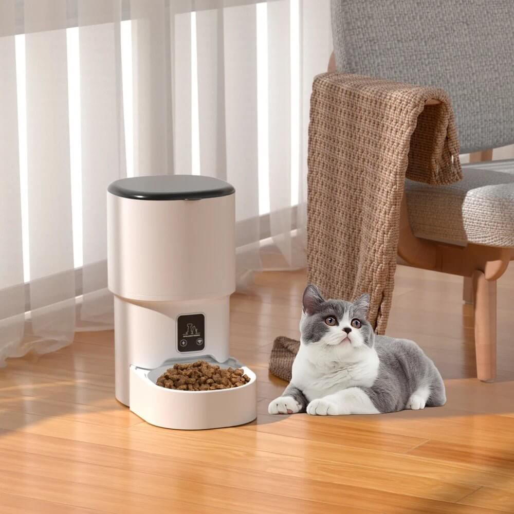 Distributeur automatique de croquettes chat beige chat satisfait