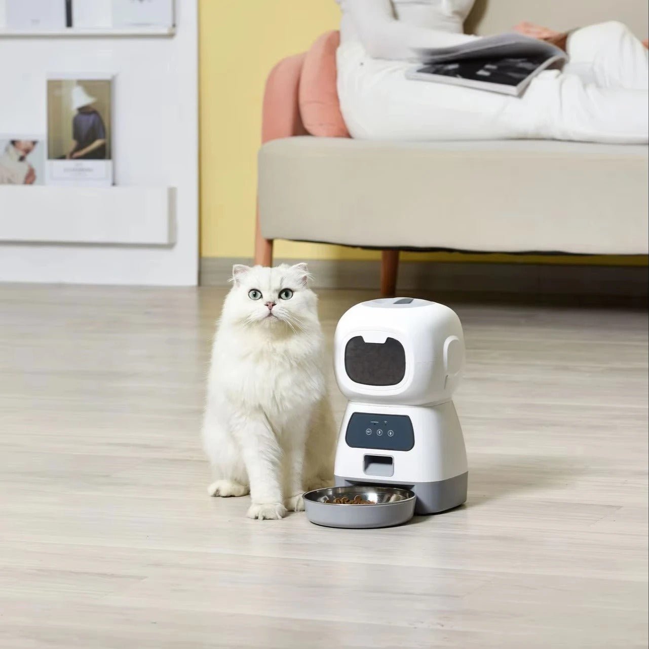 Distributeur croquettes chat - Transportdodochat