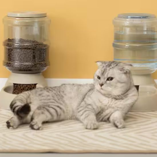 Distributeur croquettes chat - Buffet Miaou De Luxeâą - Transportdodochat