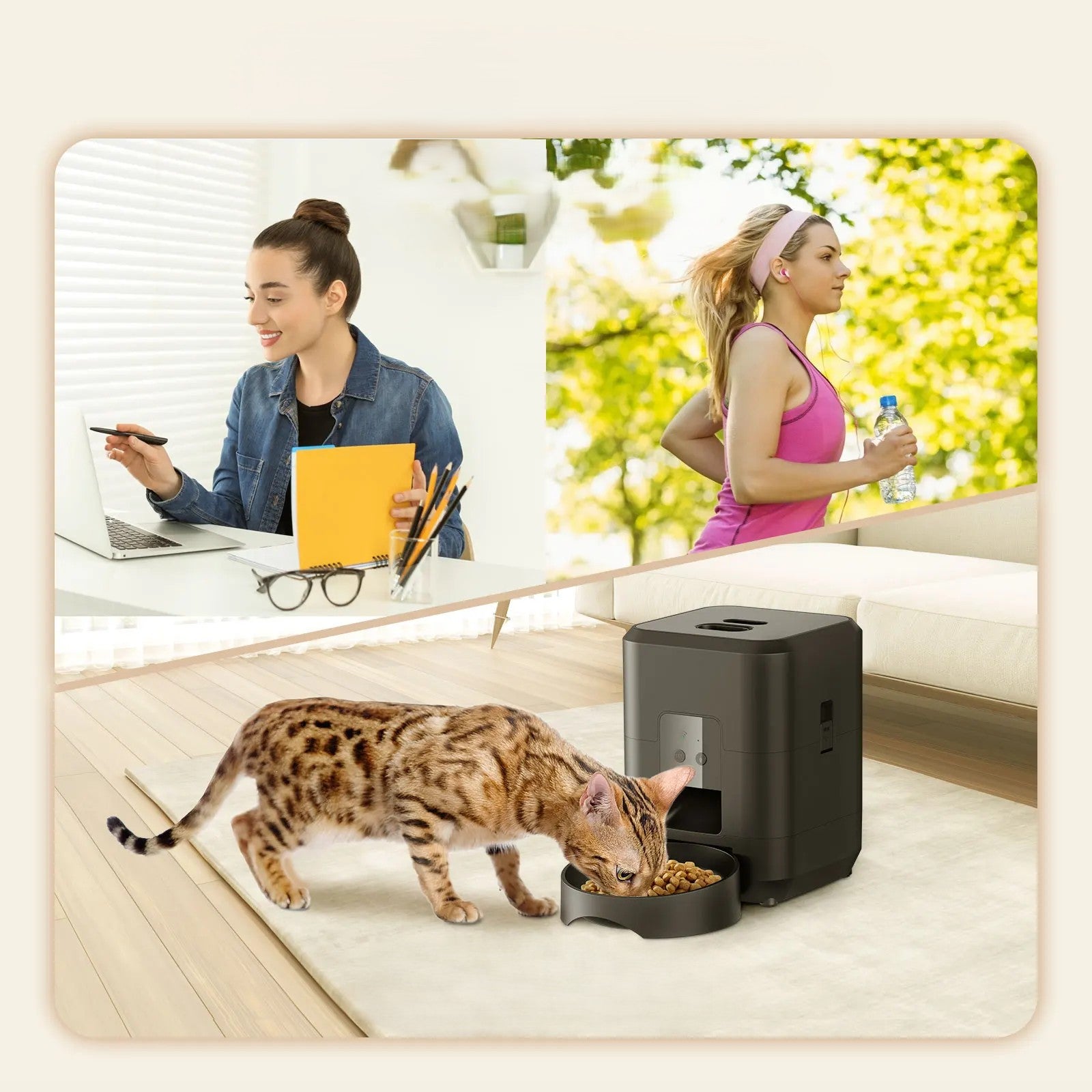 Distributeur de croquettes pour chat - Gamelle Magique™ - Transportdodochat