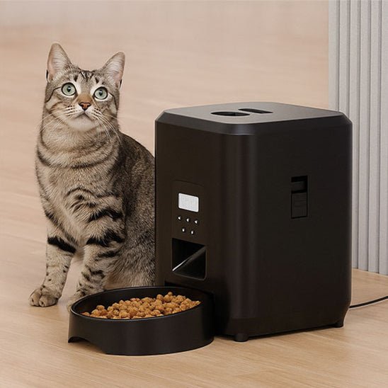 Distributeur de croquettes pour chat - Gamelle Magique™ - Transportdodochat