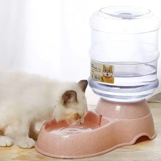Distributeur eau chat rose chat boit