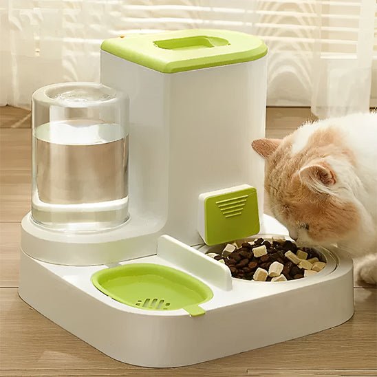 Distributeur mixte croquettes fontaine pour chat vert chat se nourrit