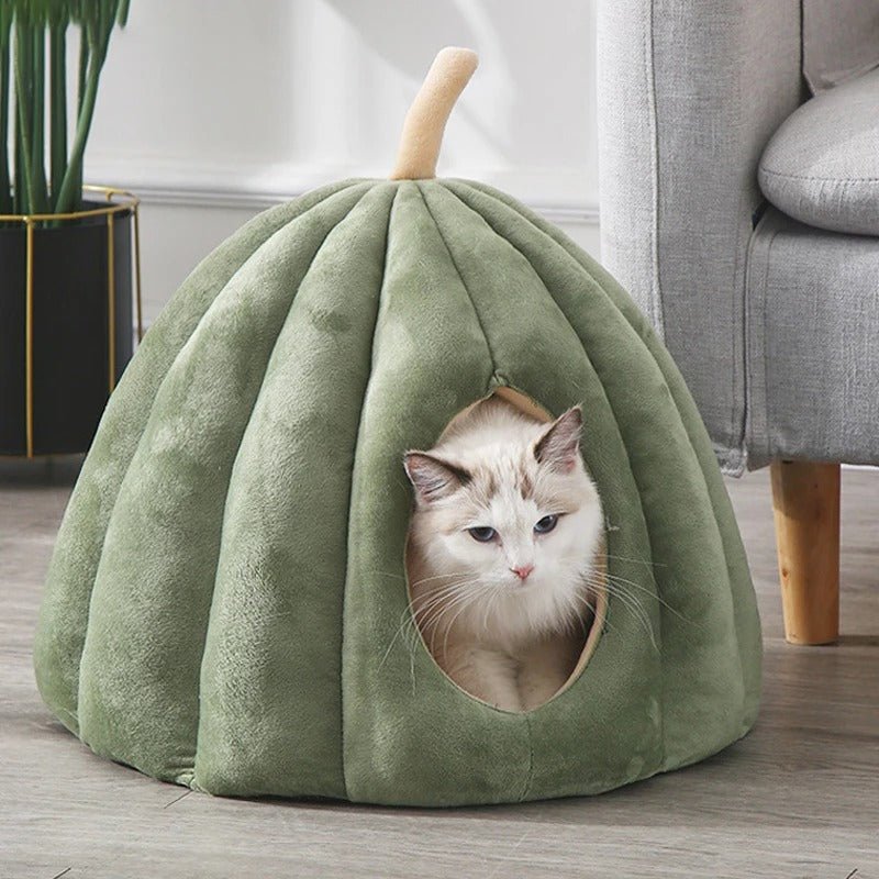 Dome pour chat - Transportdodochat