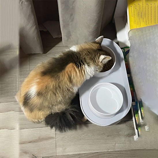 Double Gamelles chat - Transportdodochat
