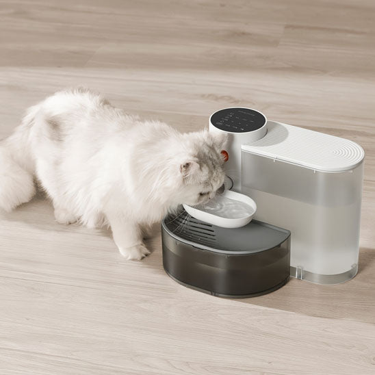 Fontaine a eau chat blanche chat boit