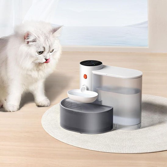 Fontaine a eau chat blanche chat prĂȘt Ă  boire