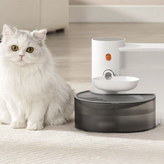 Fontaine a eau chat blanche chat satisfait