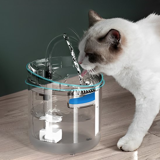 Fontaine à eau chat | Silentflow™ - Transportdodochat
