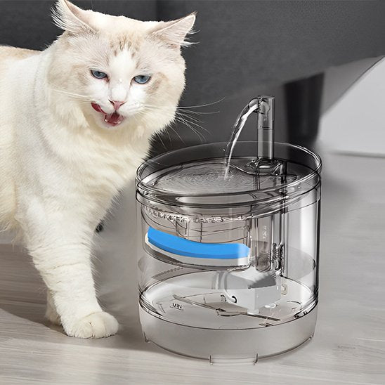 Fontaine à eau chat | Silentflow™ - Transportdodochat