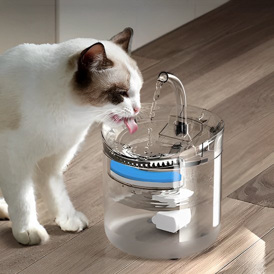 Fontaine à eau chat | Silentflow™ - Transportdodochat