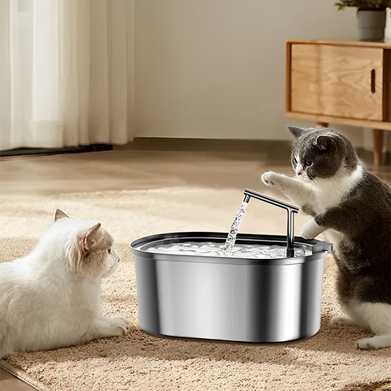 Fontaine à eau chat - Ondine Féline™ - Transportdodochat