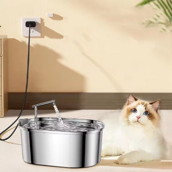 Fontaine à eau chat - Ondine Féline™ - Transportdodochat