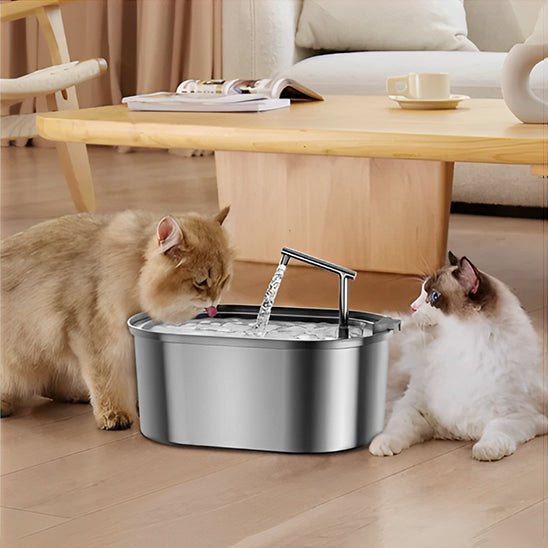 Fontaine à eau chat - Ondine Féline™ - Transportdodochat