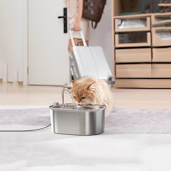 Fontaine à eau chat - Ondine Féline™ - Transportdodochat