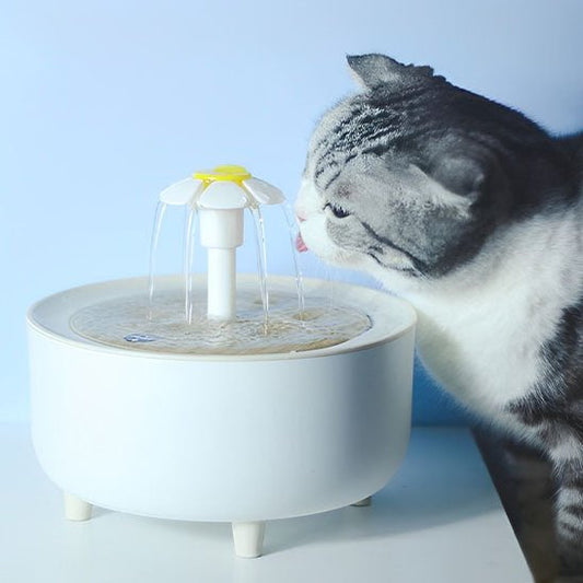 Fontaine à eau pour chat blanche chat buvant