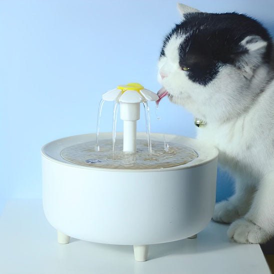 Fontaine à eau pour chat blanche chat entrain de boire