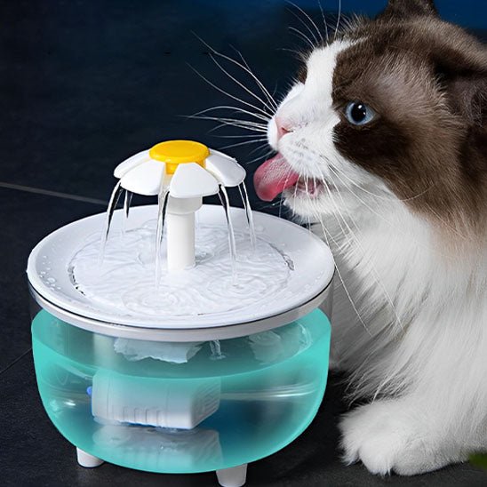 Fontaine à eau pour chat bleu chat entrain de boire