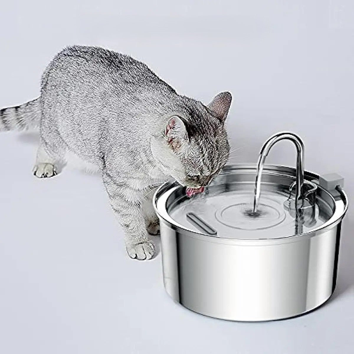Fontaine a eau pour chat-chat s'hydrate